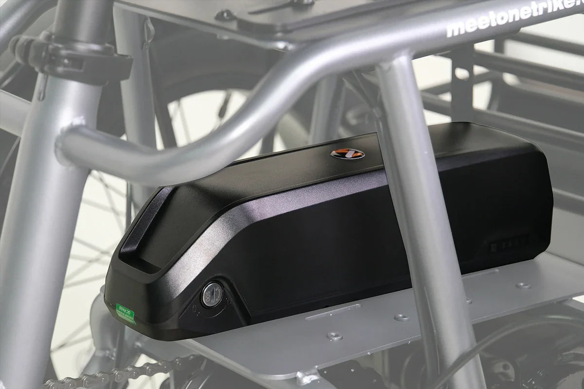 Meet One Spare Battery