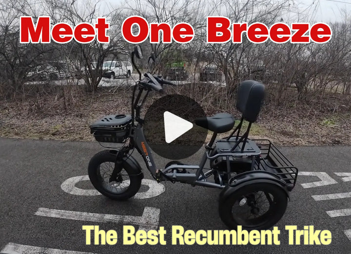 Meet One Trike electric trike review